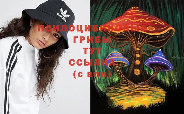 ALPHA PVP Остров