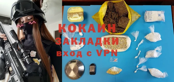 ALPHA PVP Остров