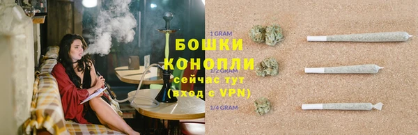 ALPHA PVP Остров