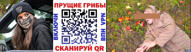 Псилоцибиновые грибы Cubensis  Купить где  Кимовск 
